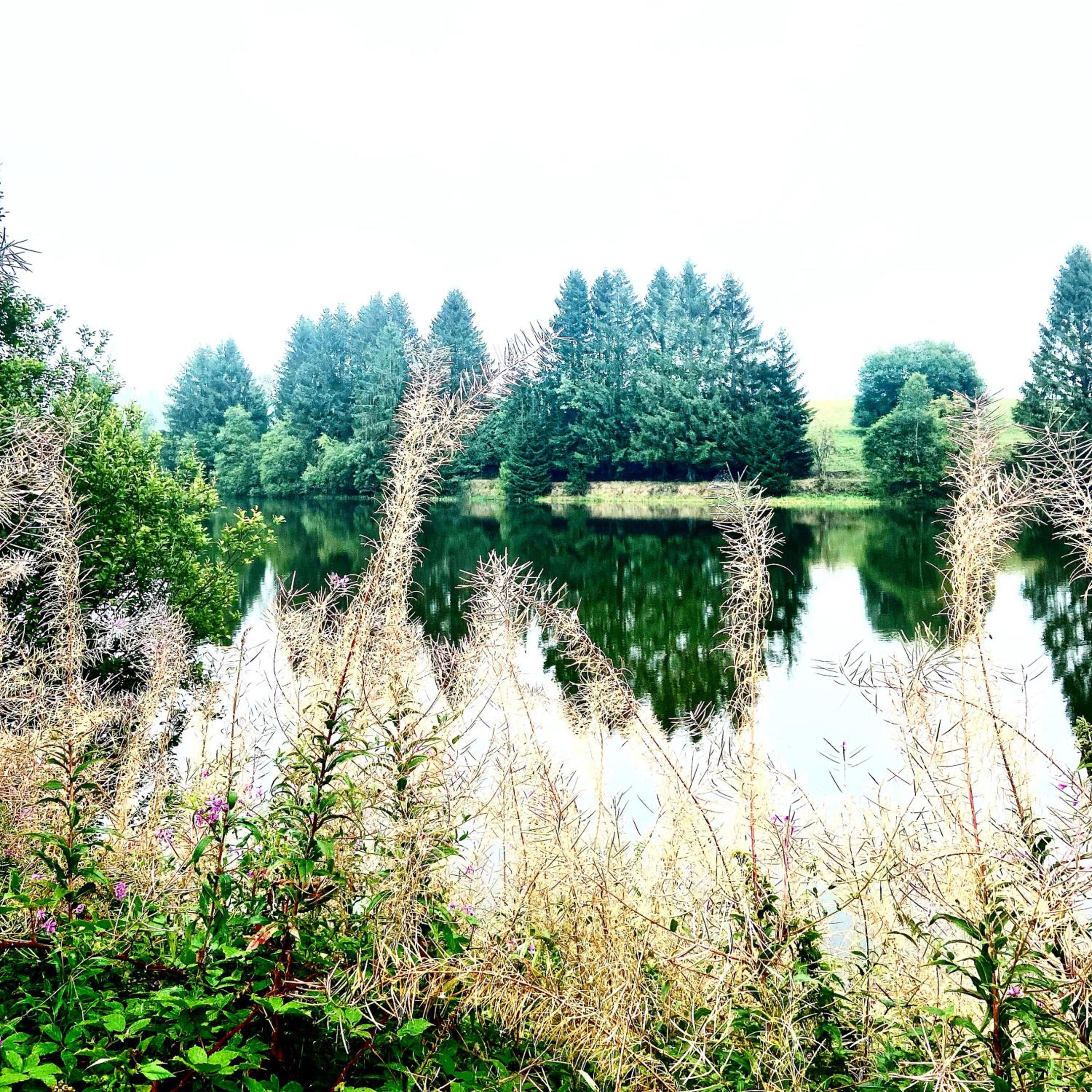 Harzpur Lodge - Pure Entspannung in purer Natur