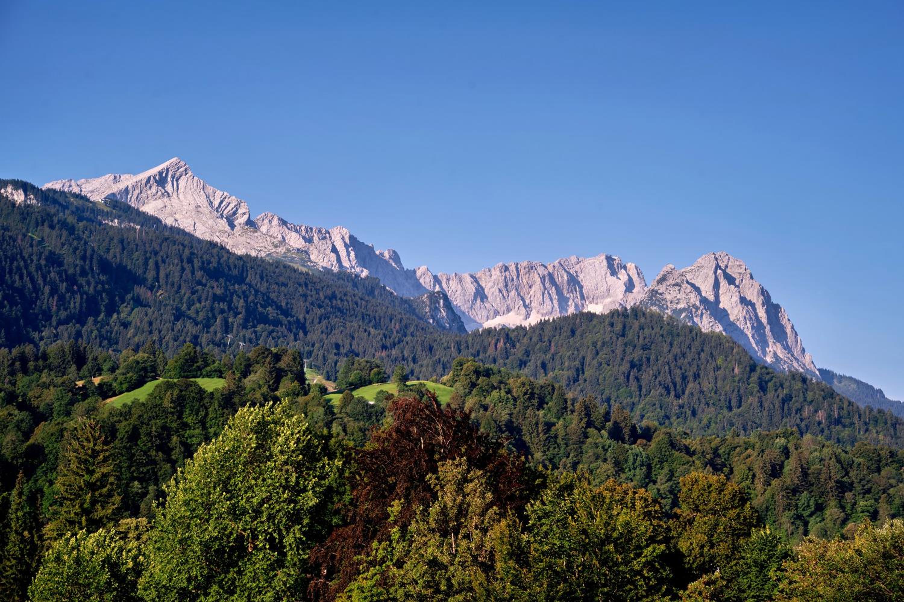 Alpin Kanker Suites 1