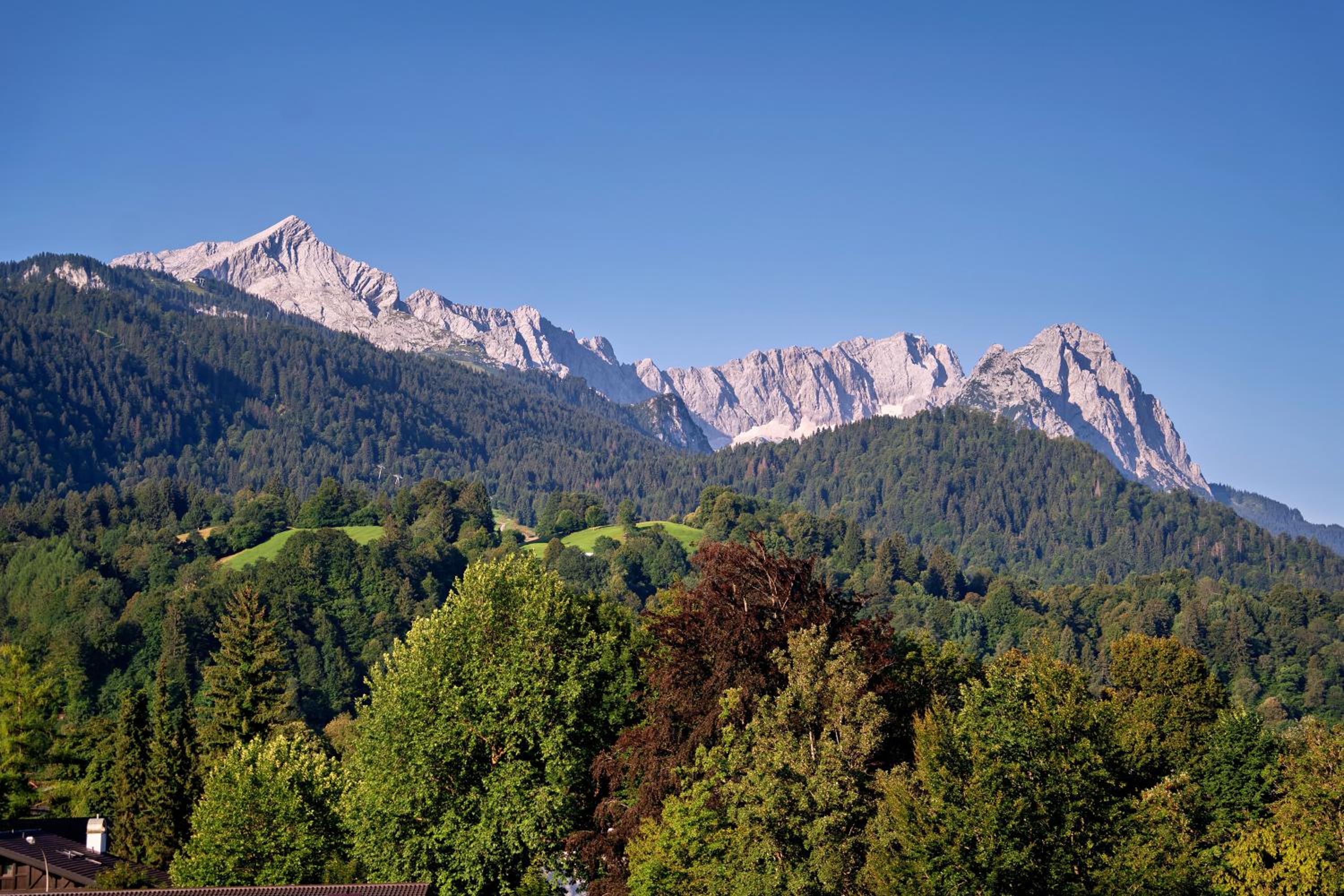 Alpin Kanker Suites 2