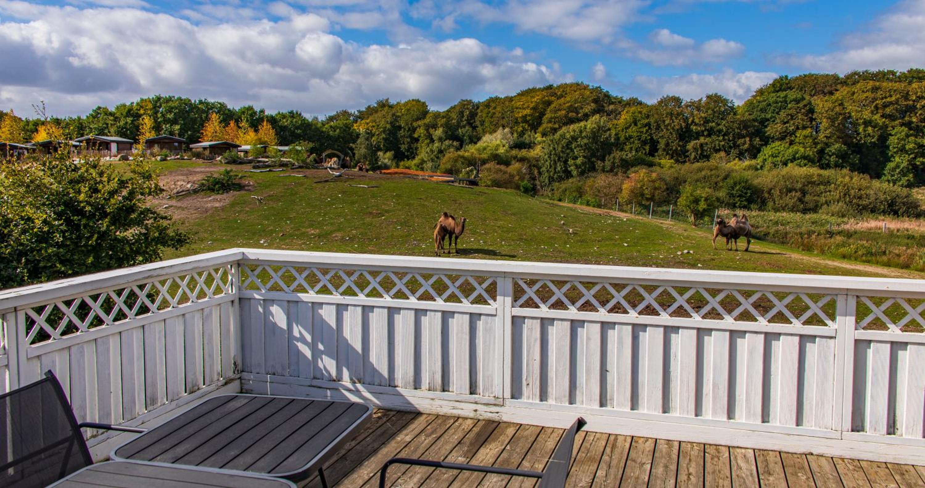 Ree Park Safari