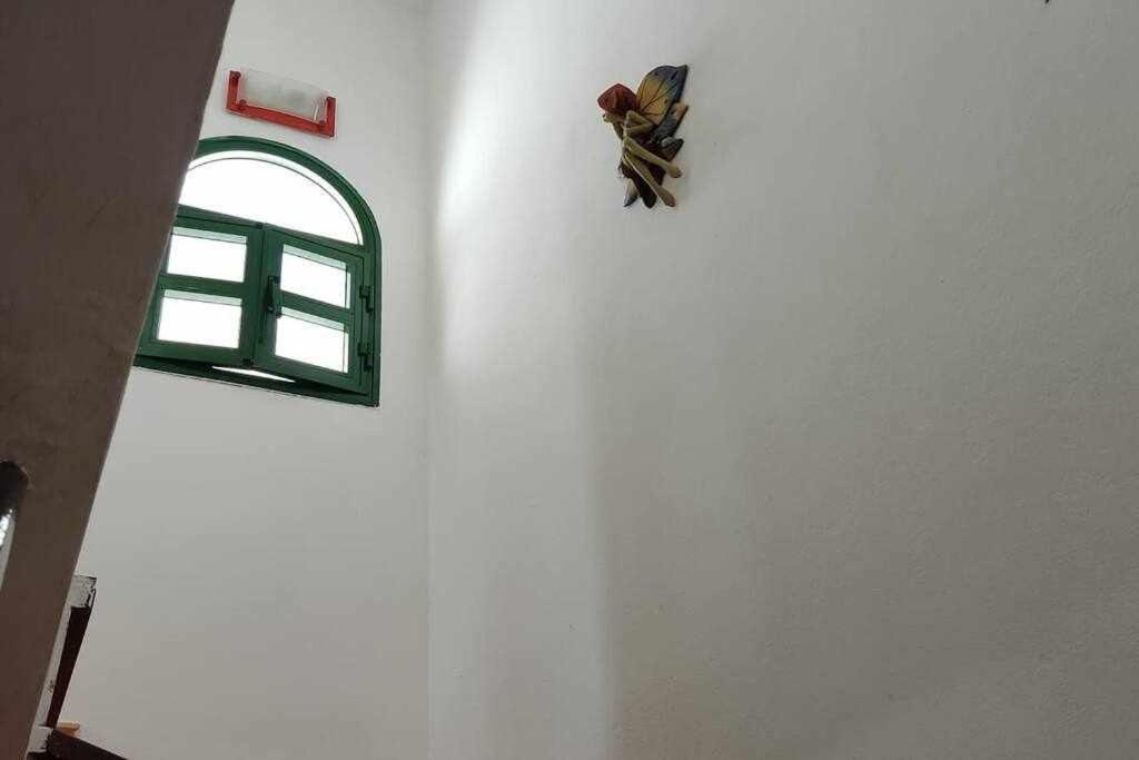 Photo 31