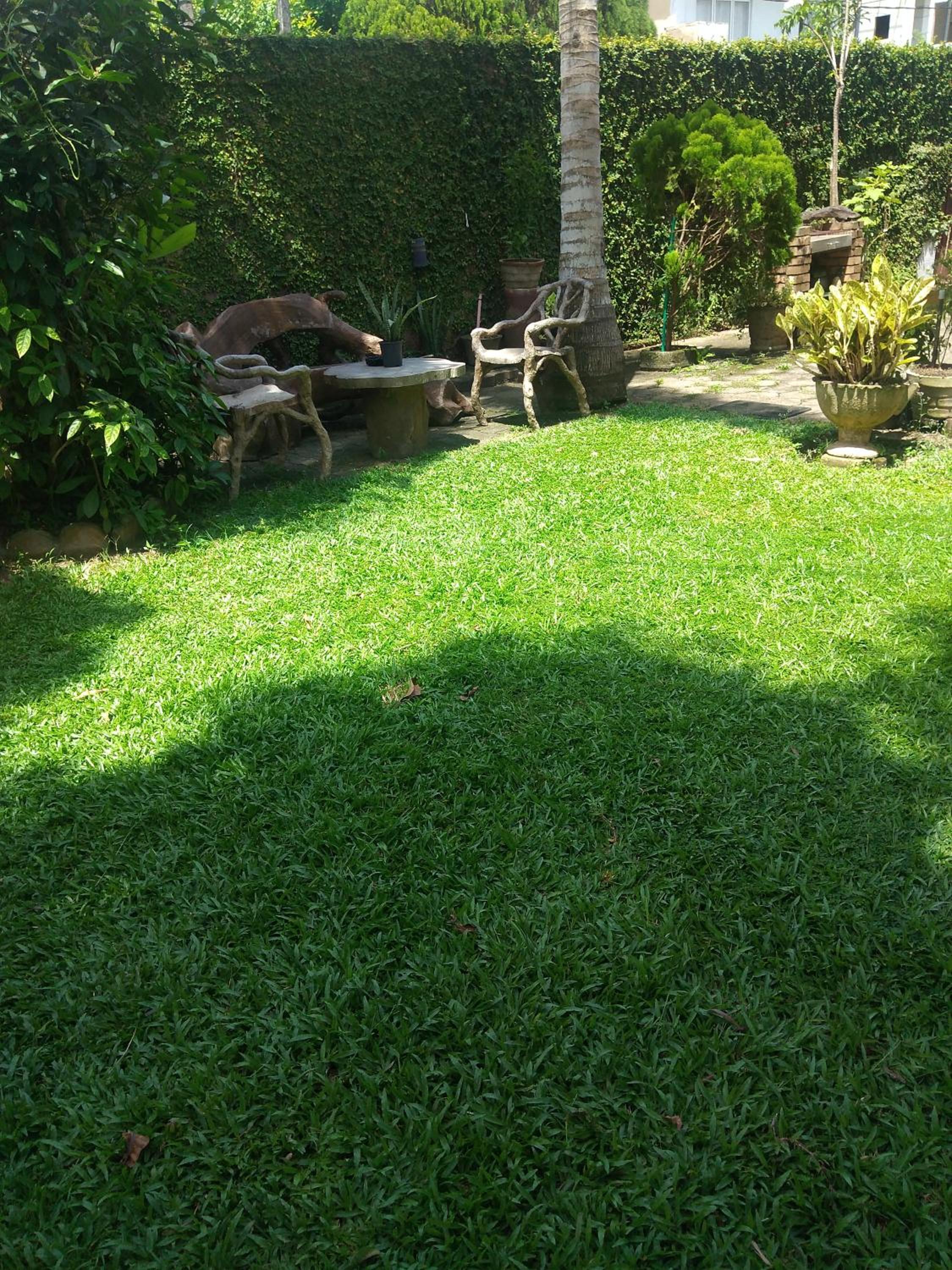 Photo 25
