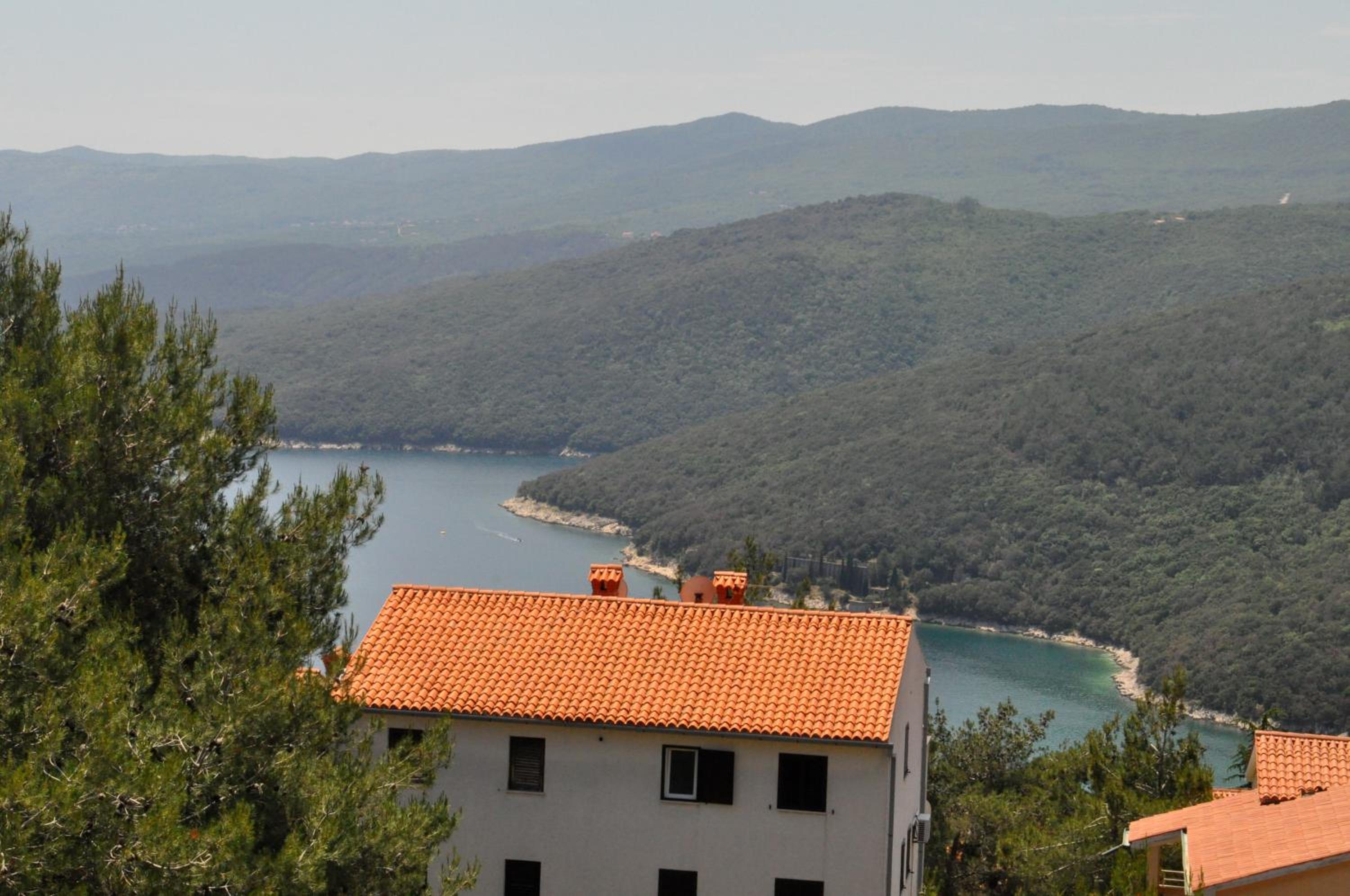 Apartments Braje