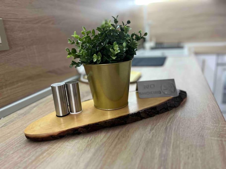 Cosy Appartement Green Life Bansko