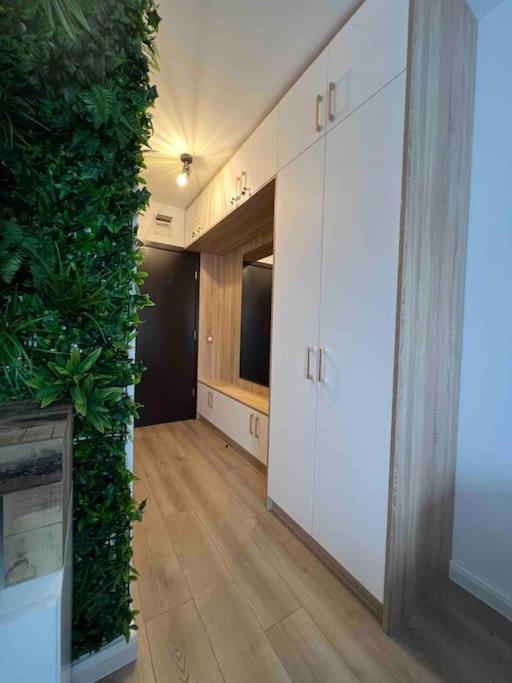Cosy Appartement Green Life Bansko