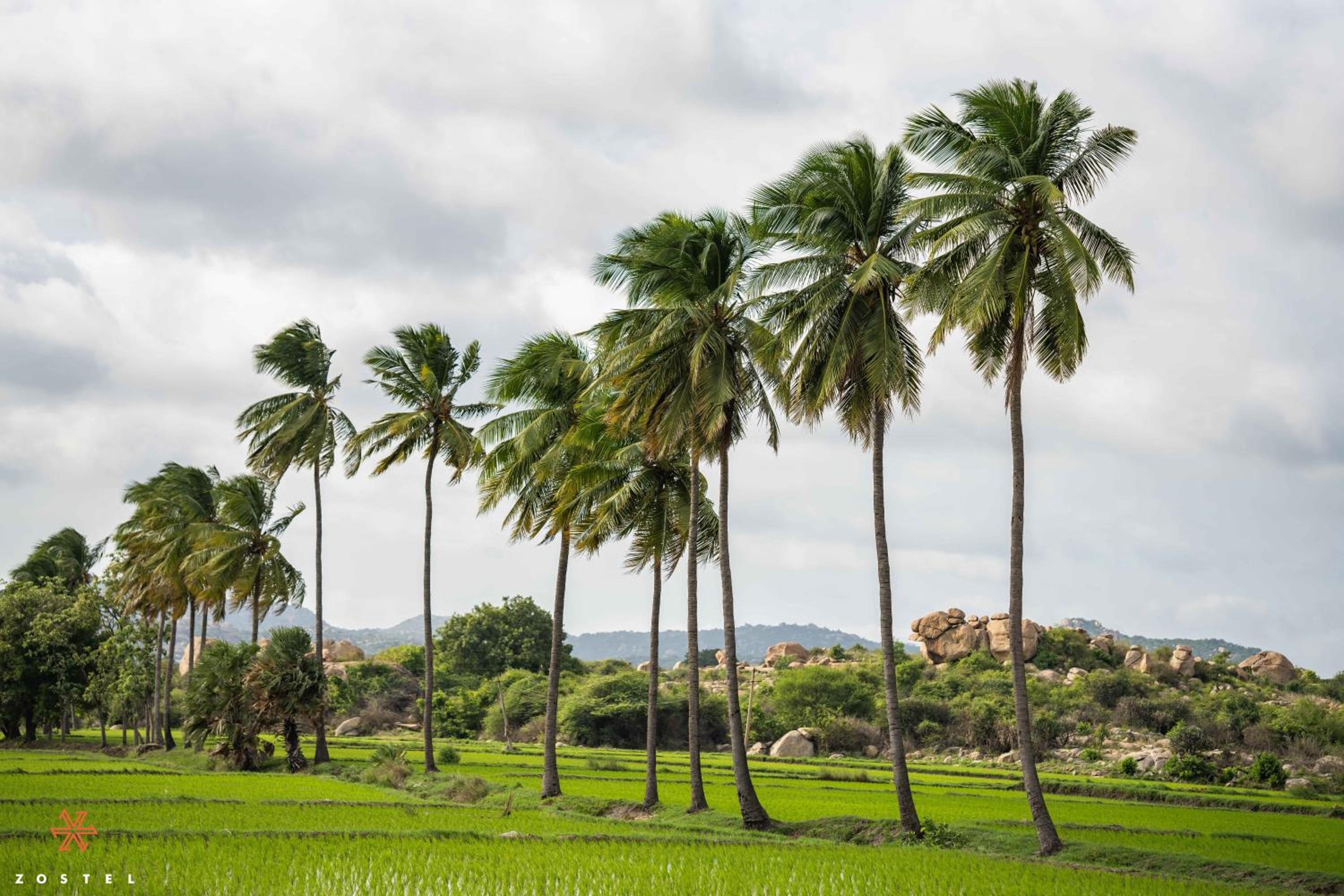 Zostel Hampi, Gangavathi