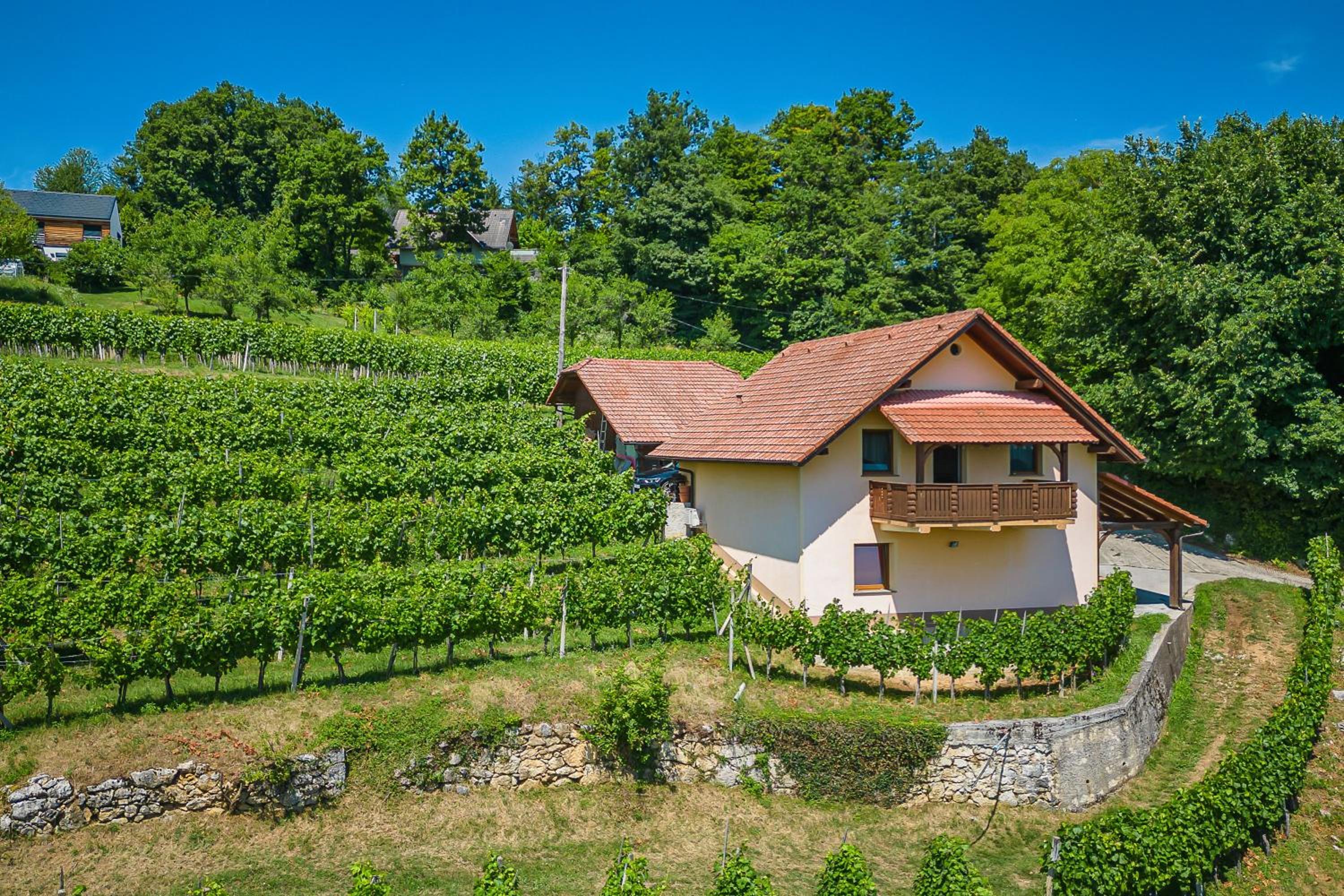 Vineyard Cottage Ucman - Happy Rentals