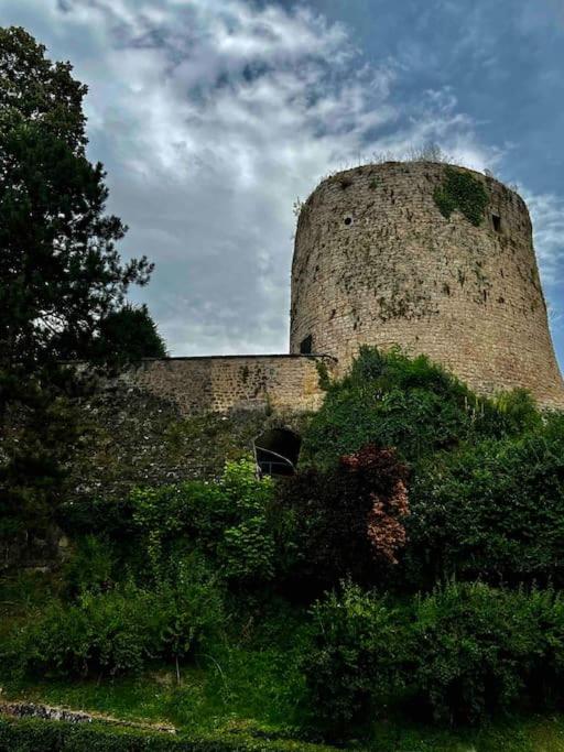Vila Prvi, Carevo Polje