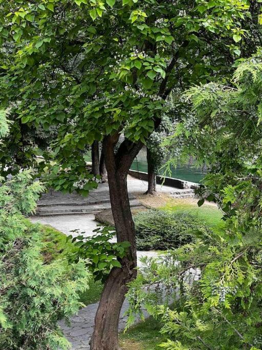 Vila Prvi, Carevo Polje