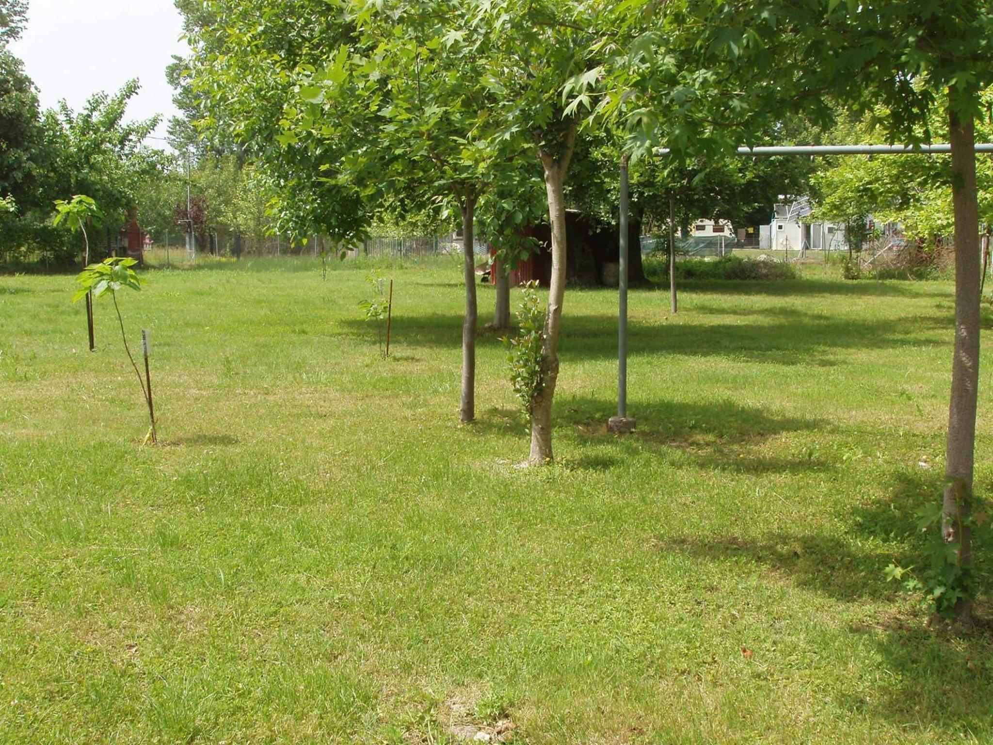 Prionas Studios