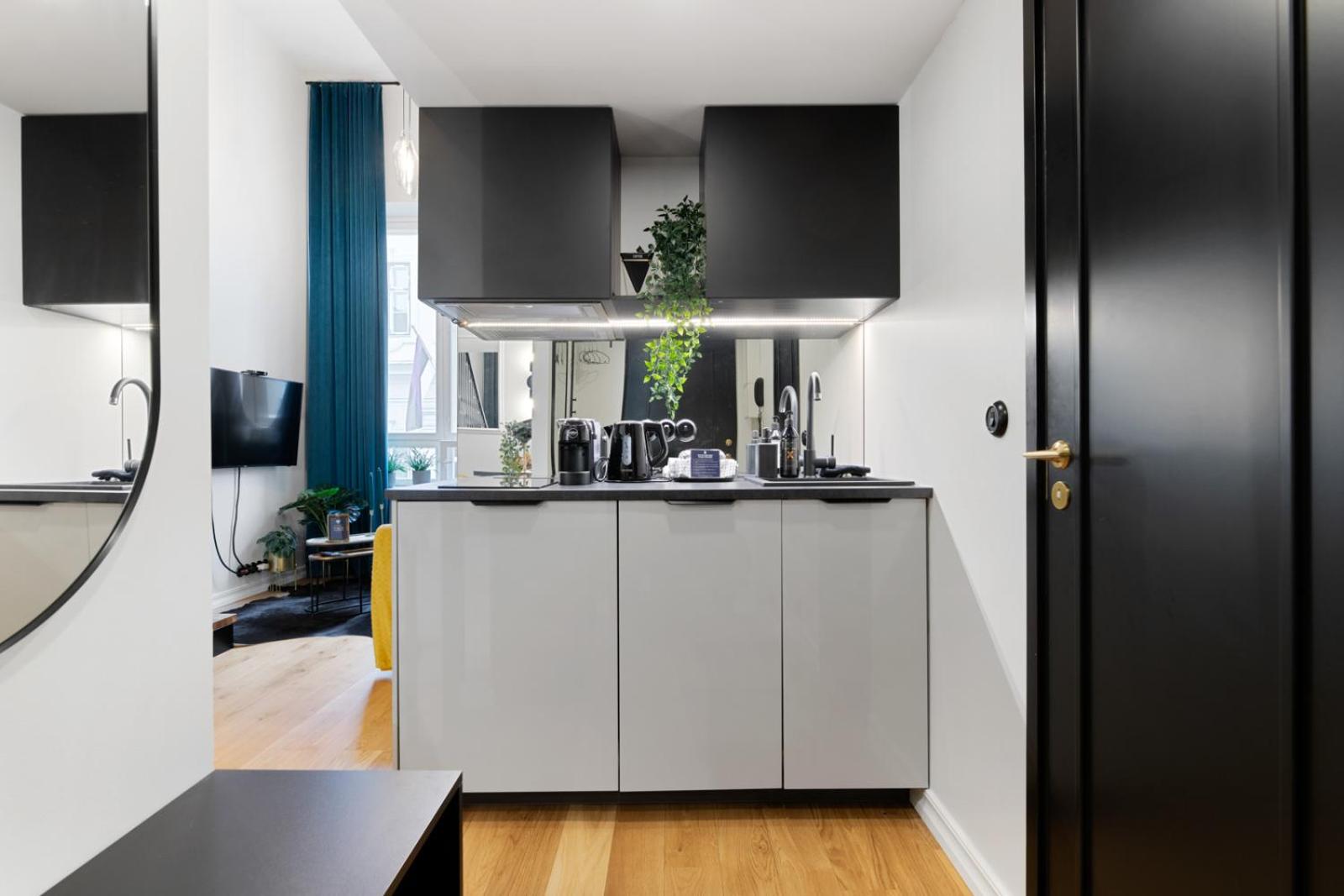 Tempus Te Premium Duo Lofts Tartu - private cinema, gym and terrace view 3
