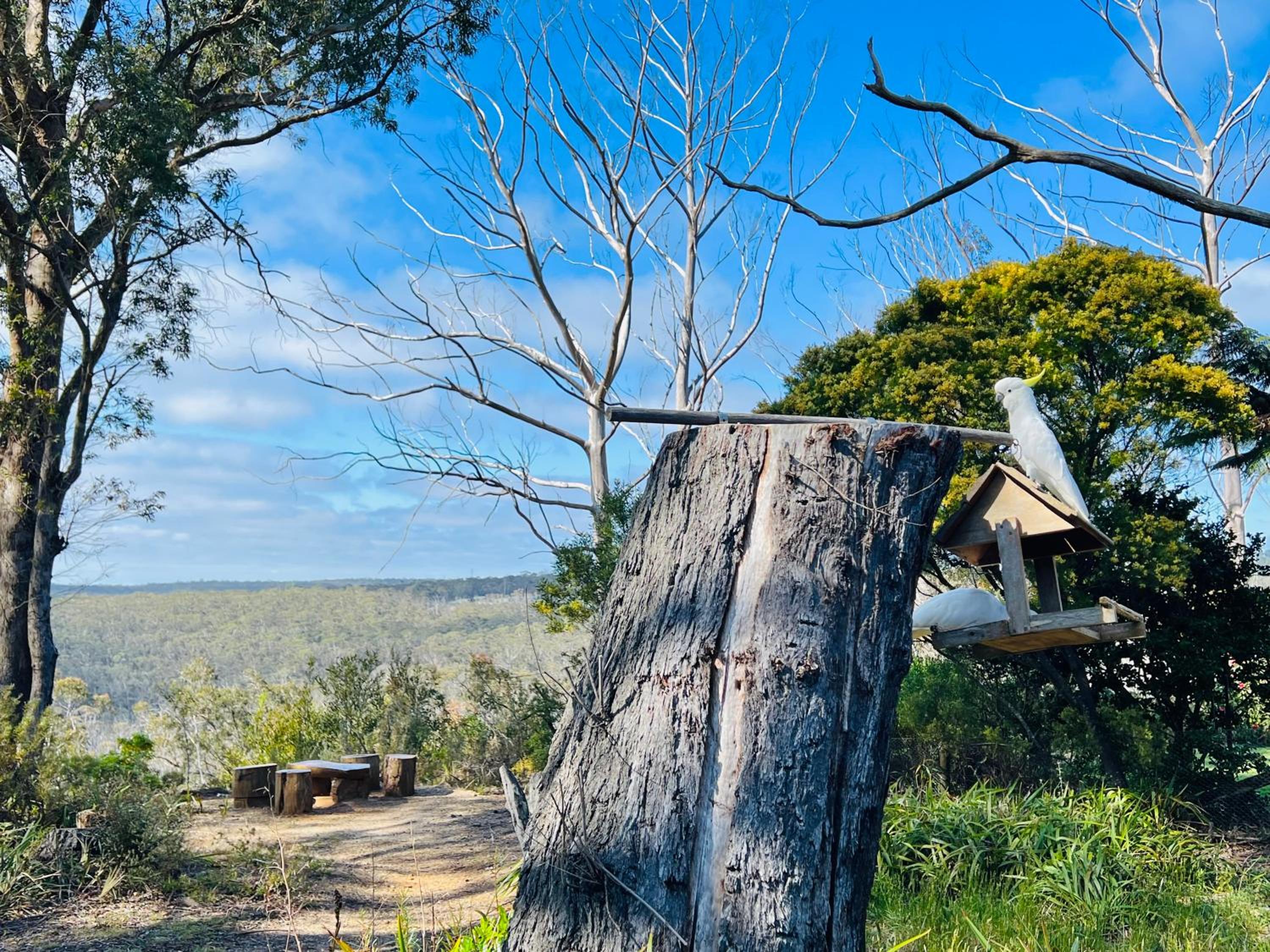 Canyon Cottage Majestic view