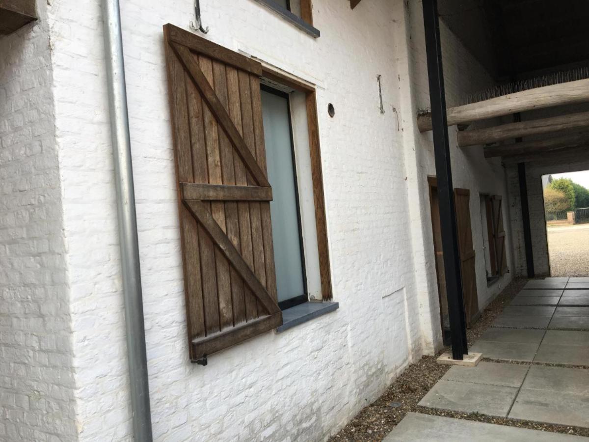 Het Zonnetje -Vakantiewoning en Bed and Breakfast