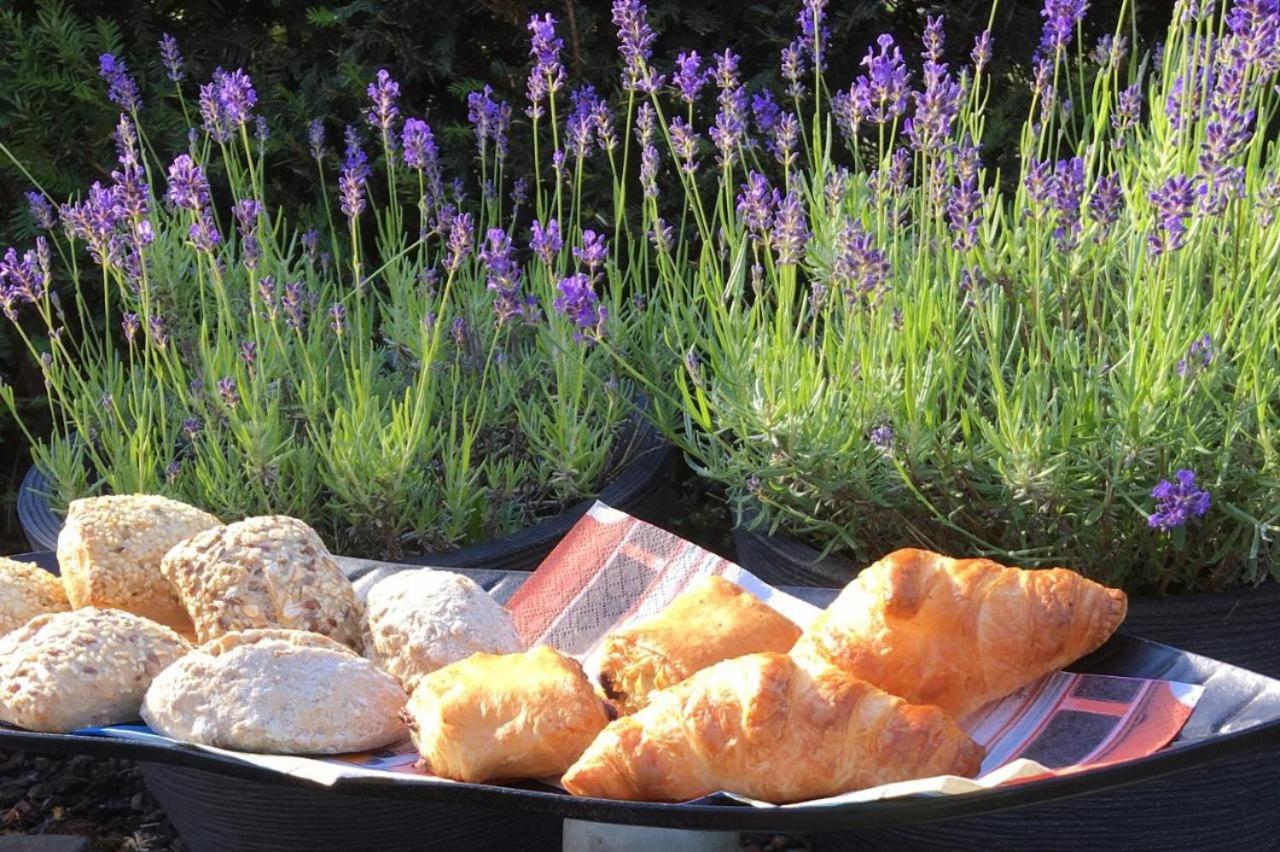Het Zonnetje -Vakantiewoning en Bed and Breakfast