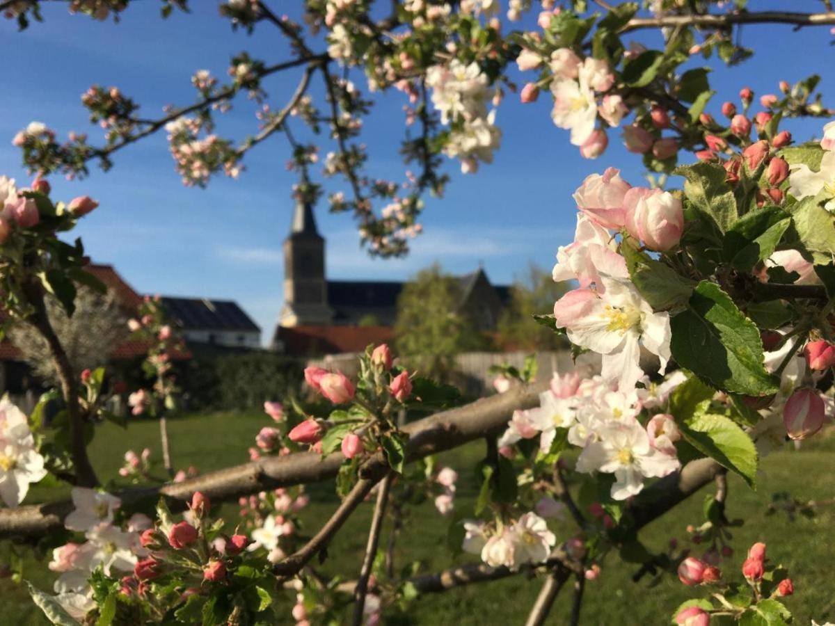 Het Zonnetje -Vakantiewoning en Bed and Breakfast