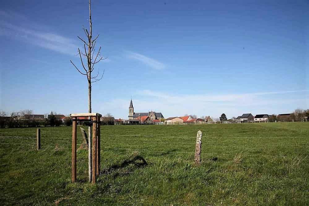 Het Zonnetje -Vakantiewoning en Bed and Breakfast