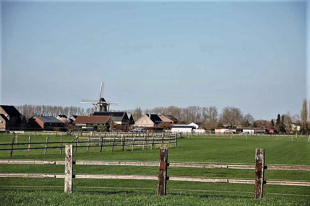 Het Zonnetje -Vakantiewoning en Bed and Breakfast