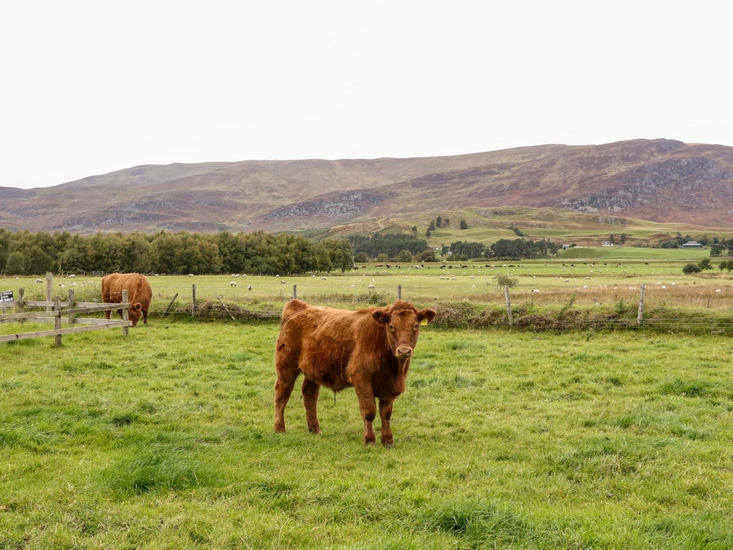 Creag-na-Sanais