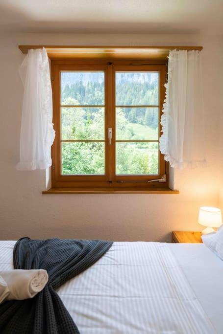 Peacefull Mountains View