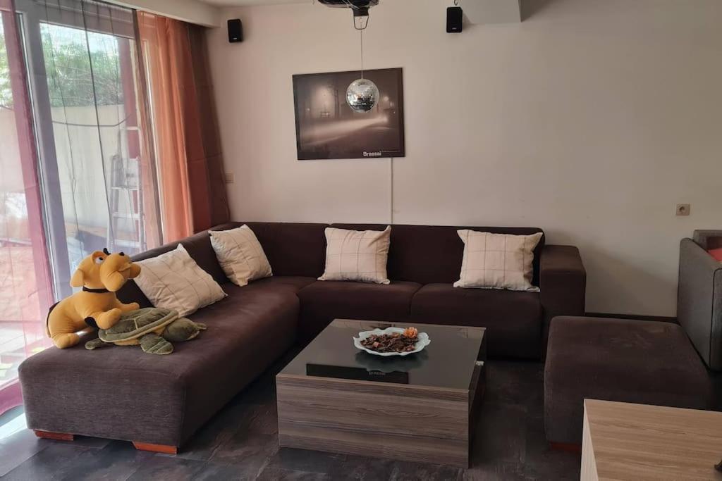 Lux & Cozy Apt + Garden +Jaccuzi