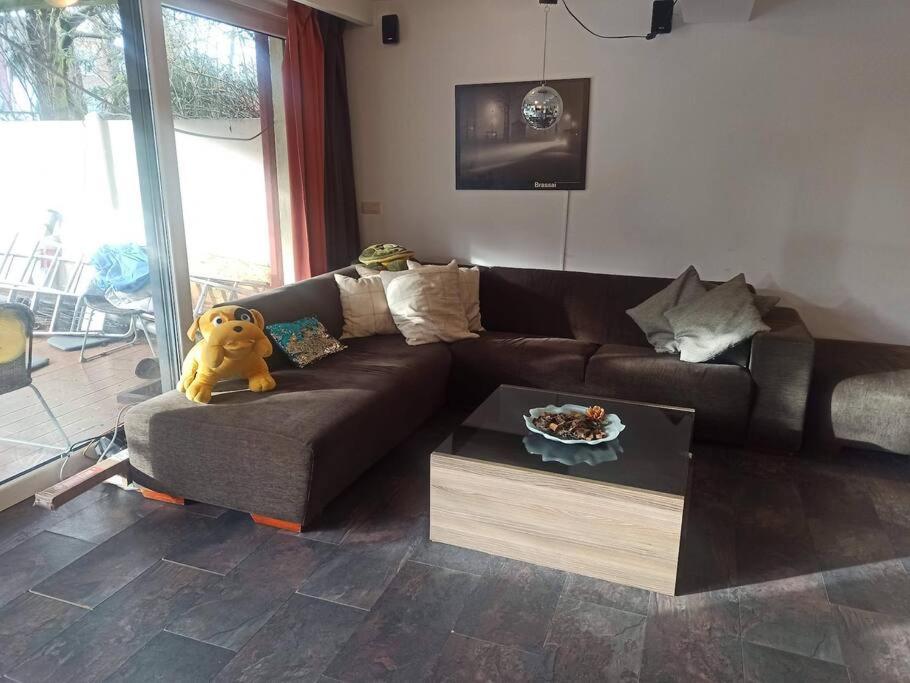 Lux & Cozy Apt + Garden +Jaccuzi