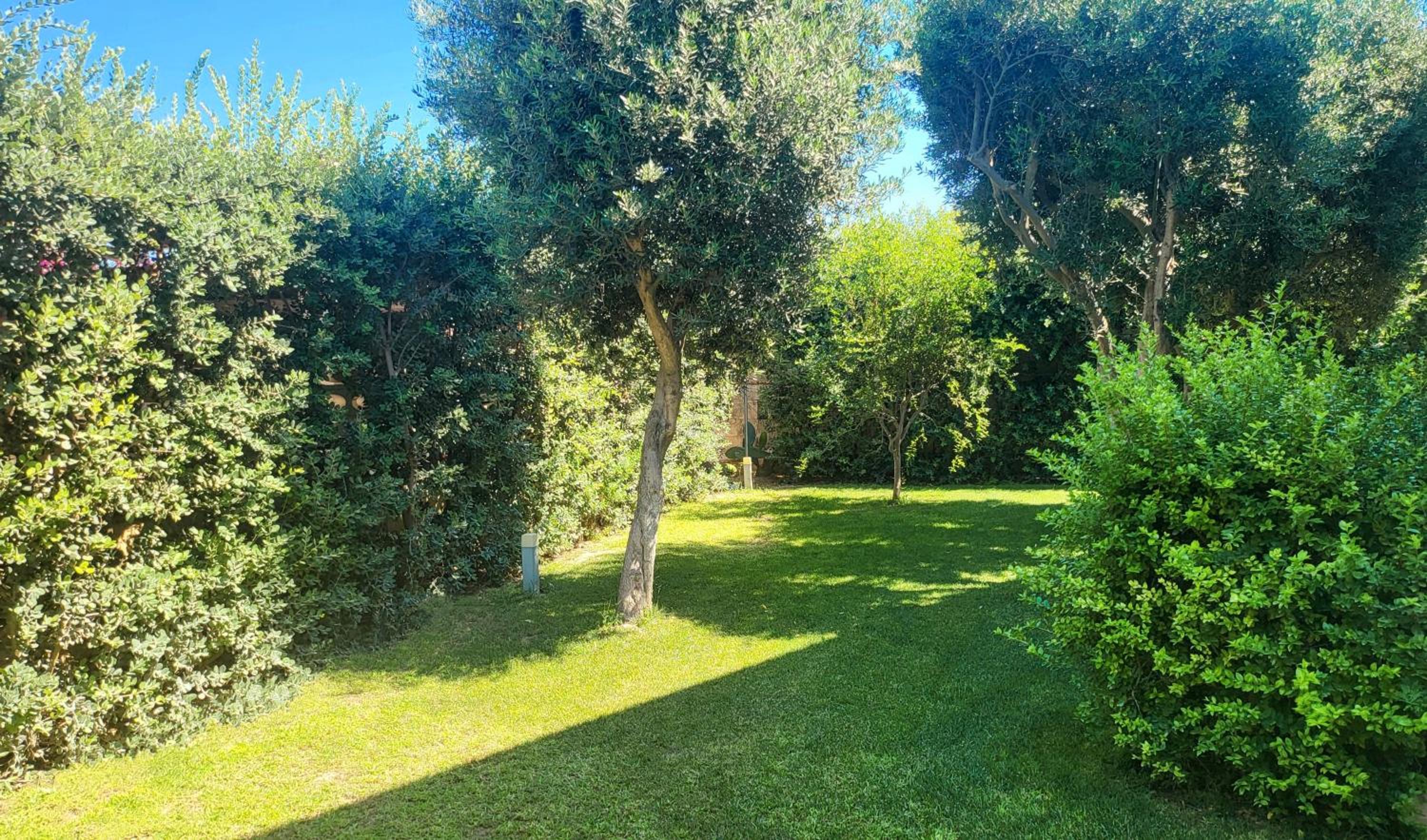 Photo 48