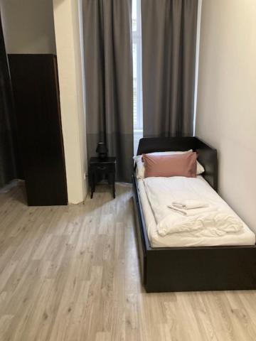 Only Ladies hostel - female only