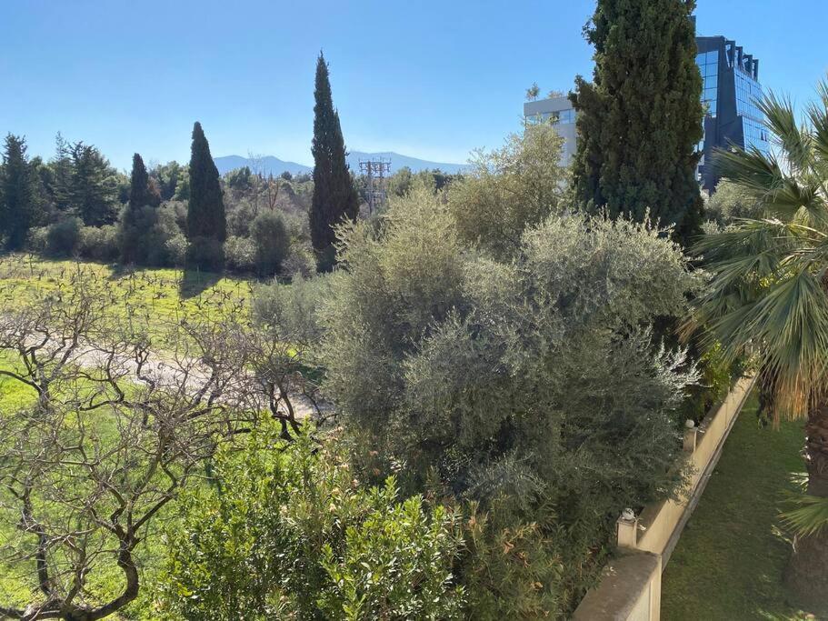 Urban Apartment in Marousi with Rural View