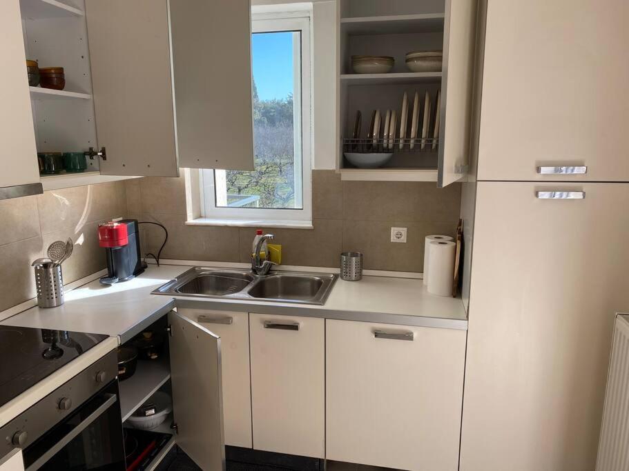 Urban Apartment in Marousi with Rural View
