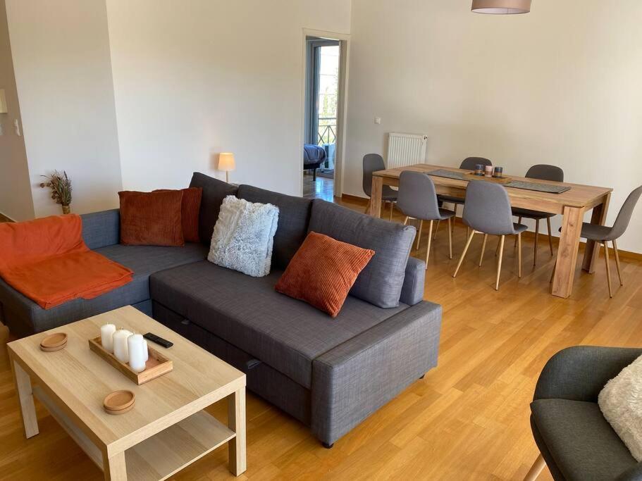 Urban Apartment in Marousi with Rural View