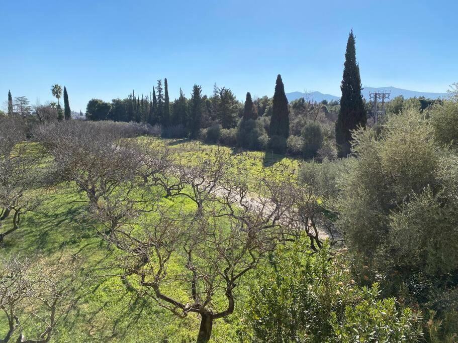 Urban Apartment in Marousi with Rural View
