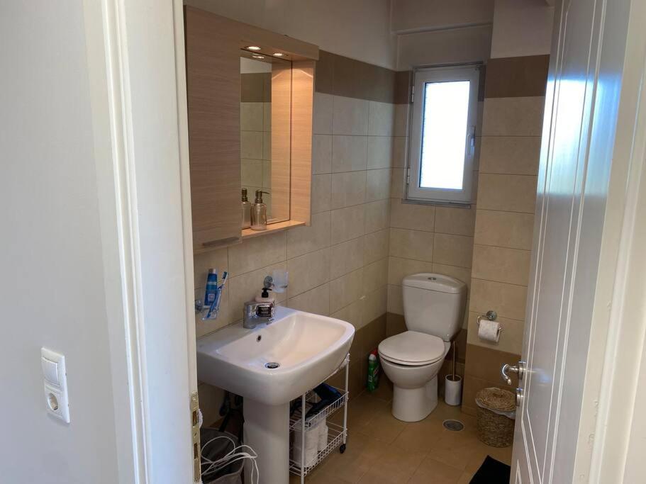 Urban Apartment in Marousi with Rural View