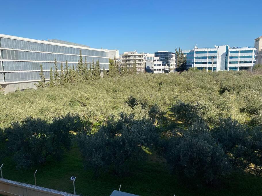 Urban Apartment in Marousi with Rural View