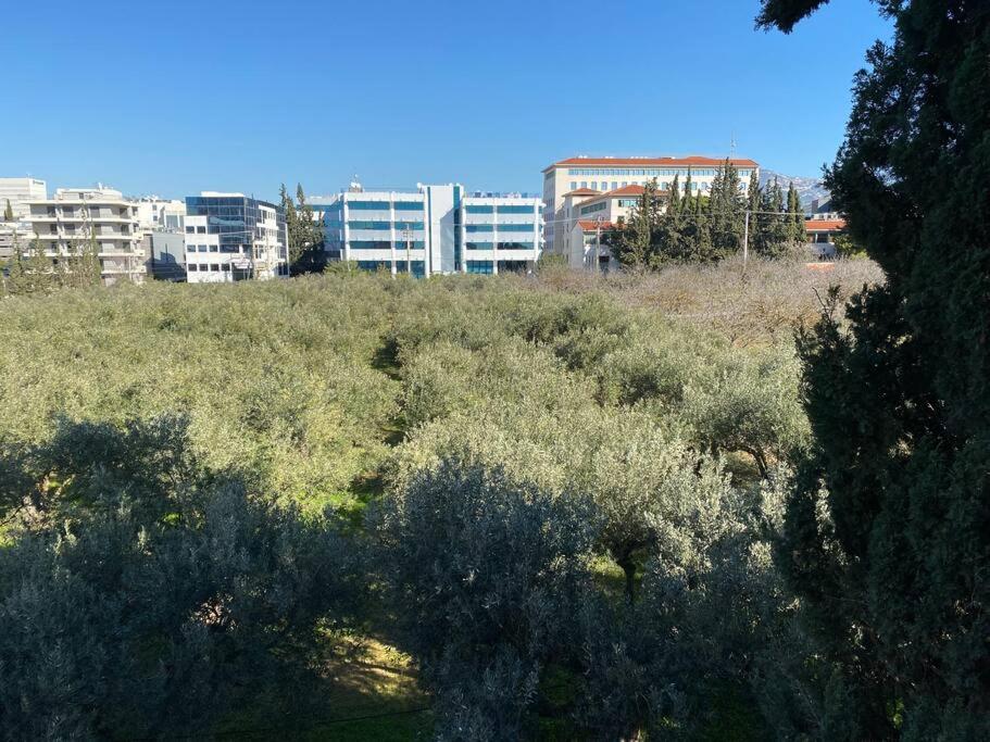 Urban Apartment in Marousi with Rural View