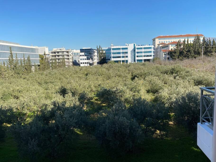Urban Apartment in Marousi with Rural View