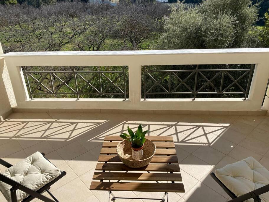 Urban Apartment in Marousi with Rural View