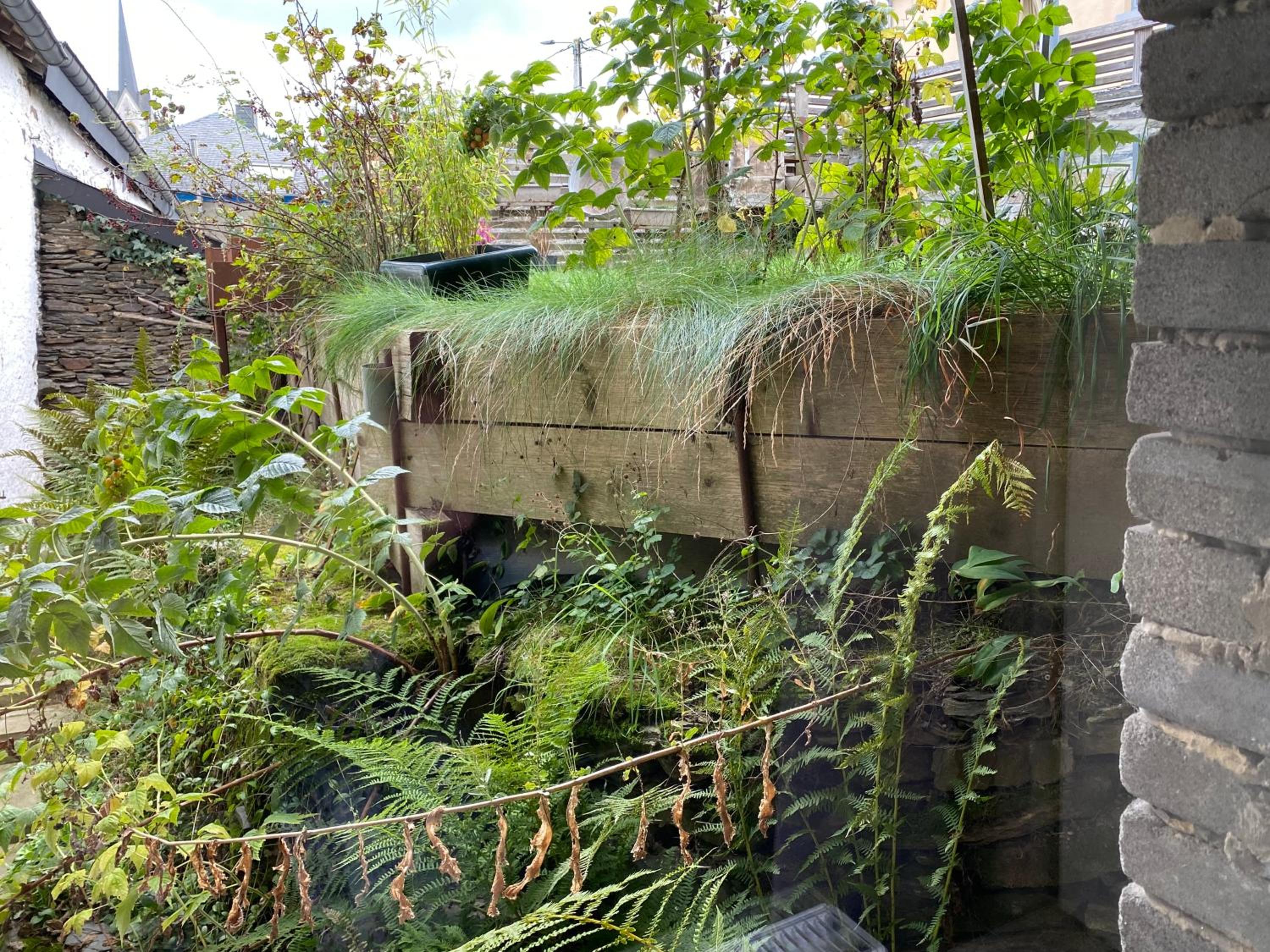 Résidence du mini jardin