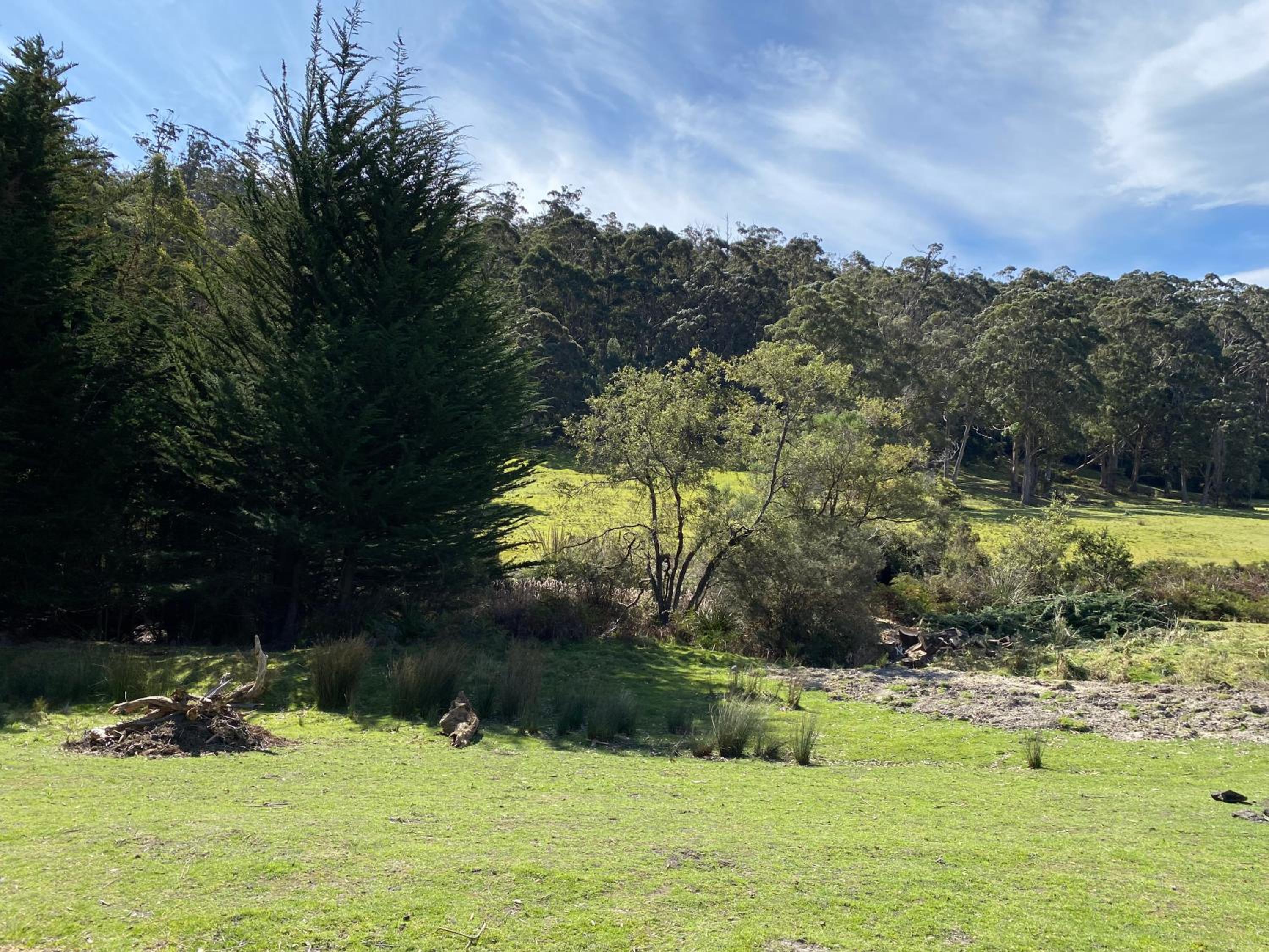 Little Pardalote Tiny Home Bruny Island