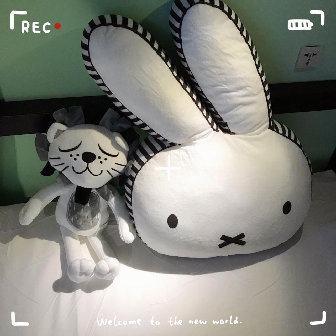 Tourist Bunny Hostel
