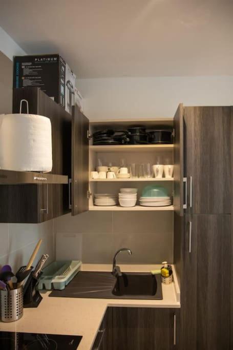 Paradise 1 bedroom Apartment @Embassy Gardens
