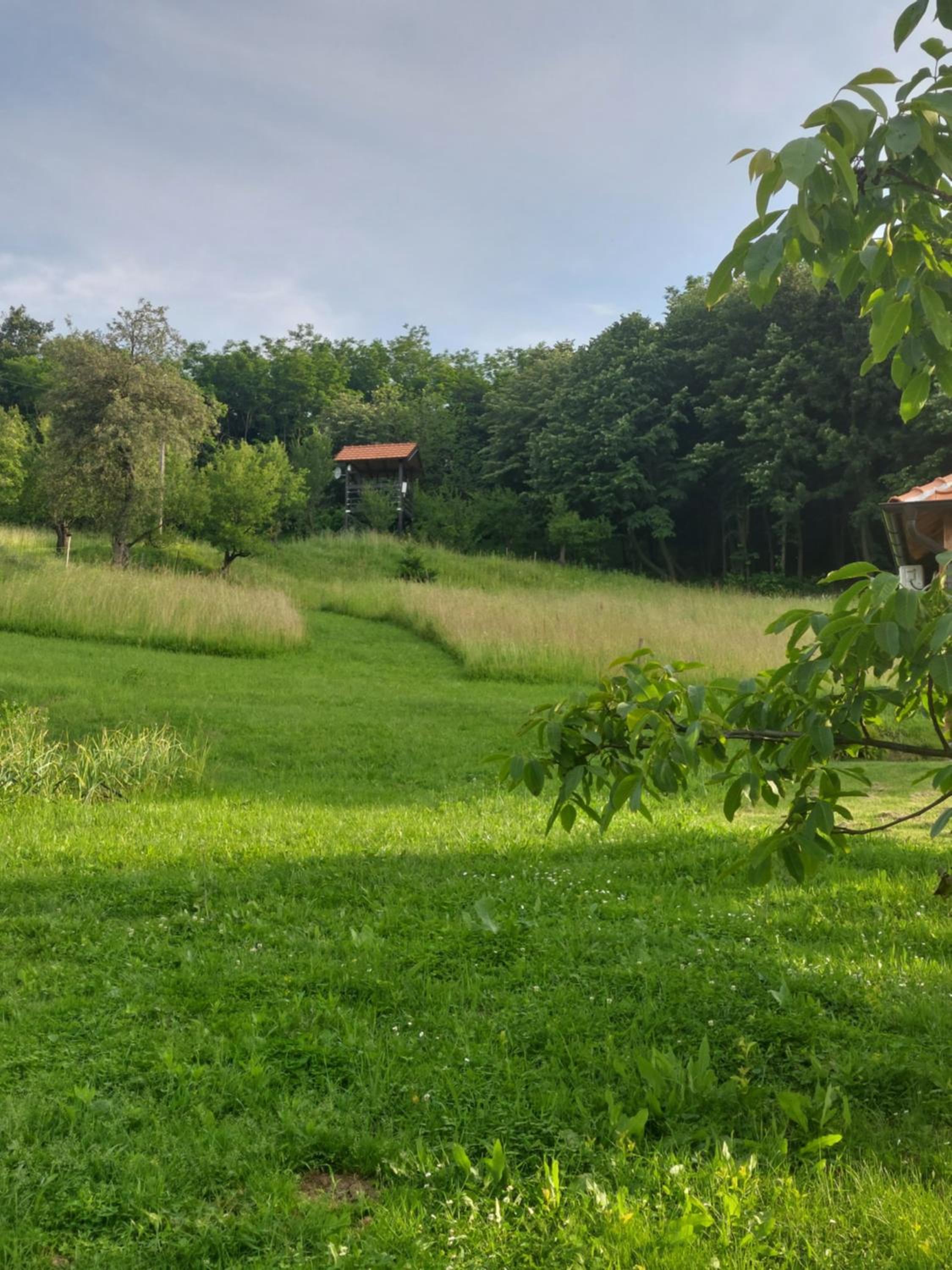 Palanačka Avlija 3 view 3