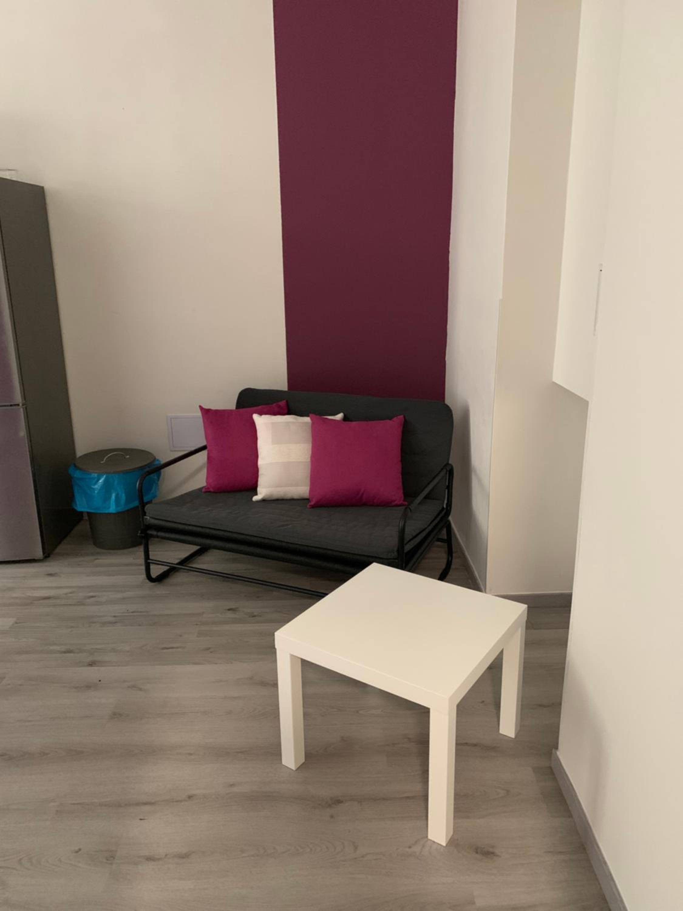 Only Ladies hostel - female only