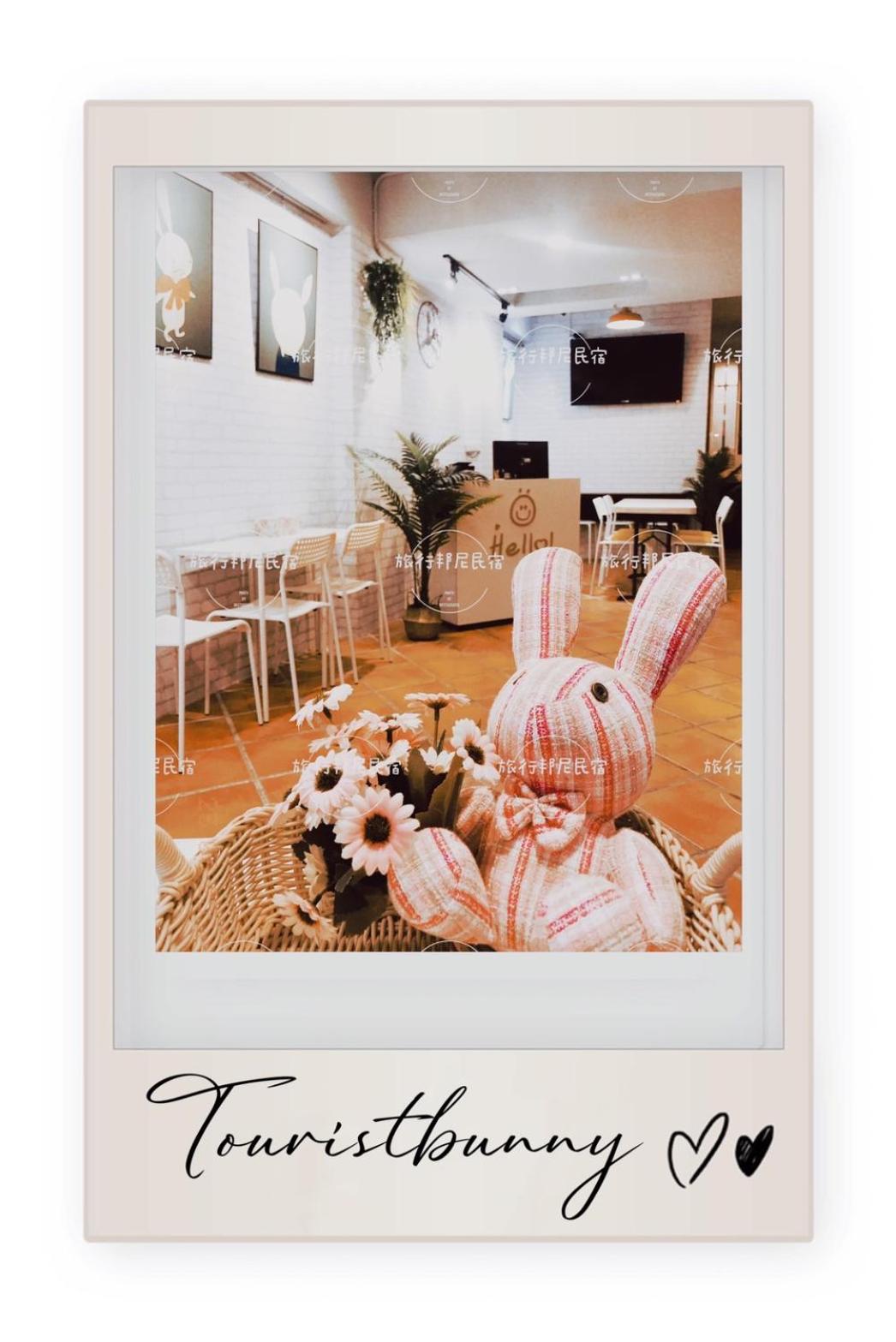 Tourist Bunny Hostel