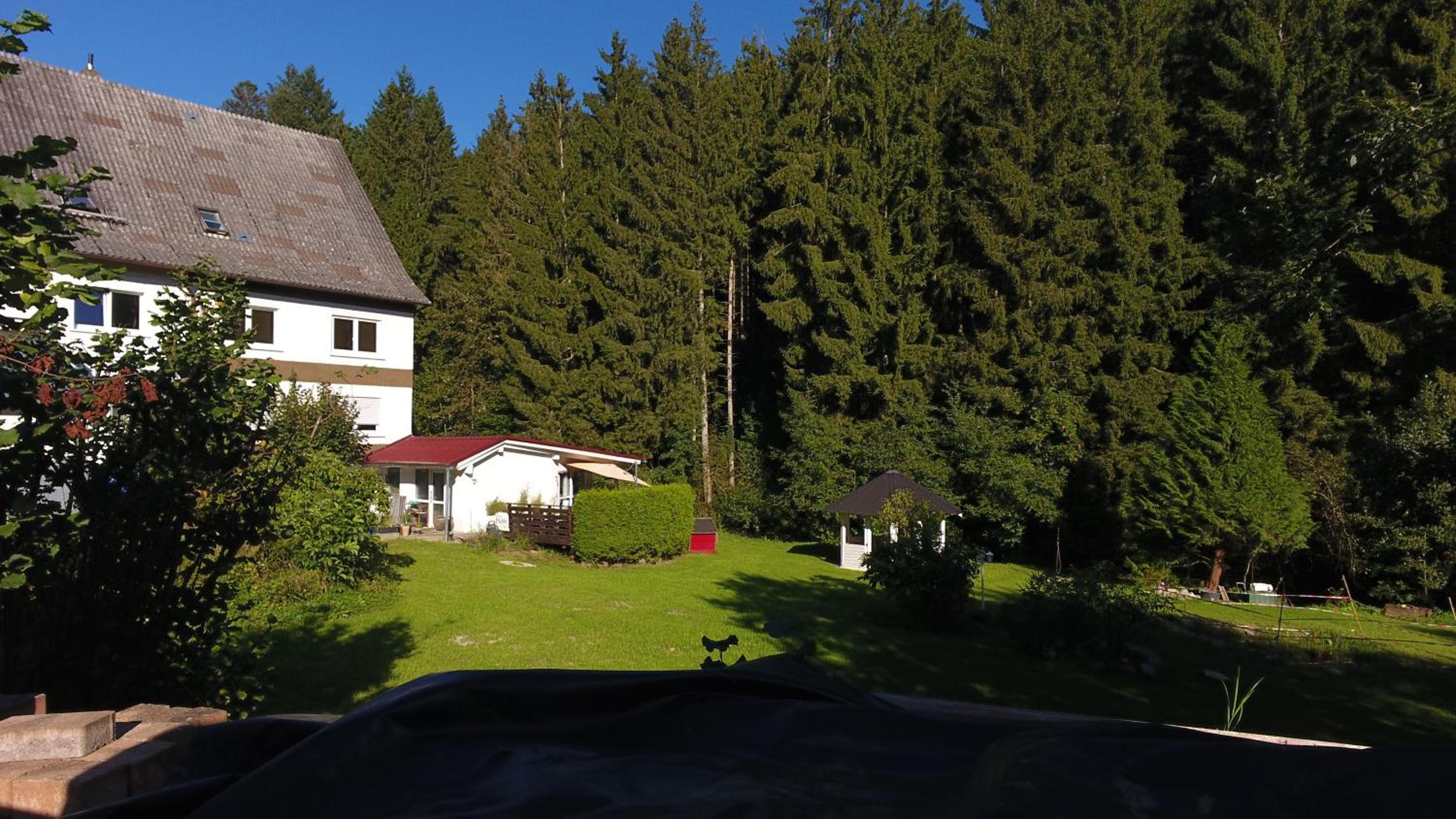 Alte Mühle - Ferienwohnung Betti