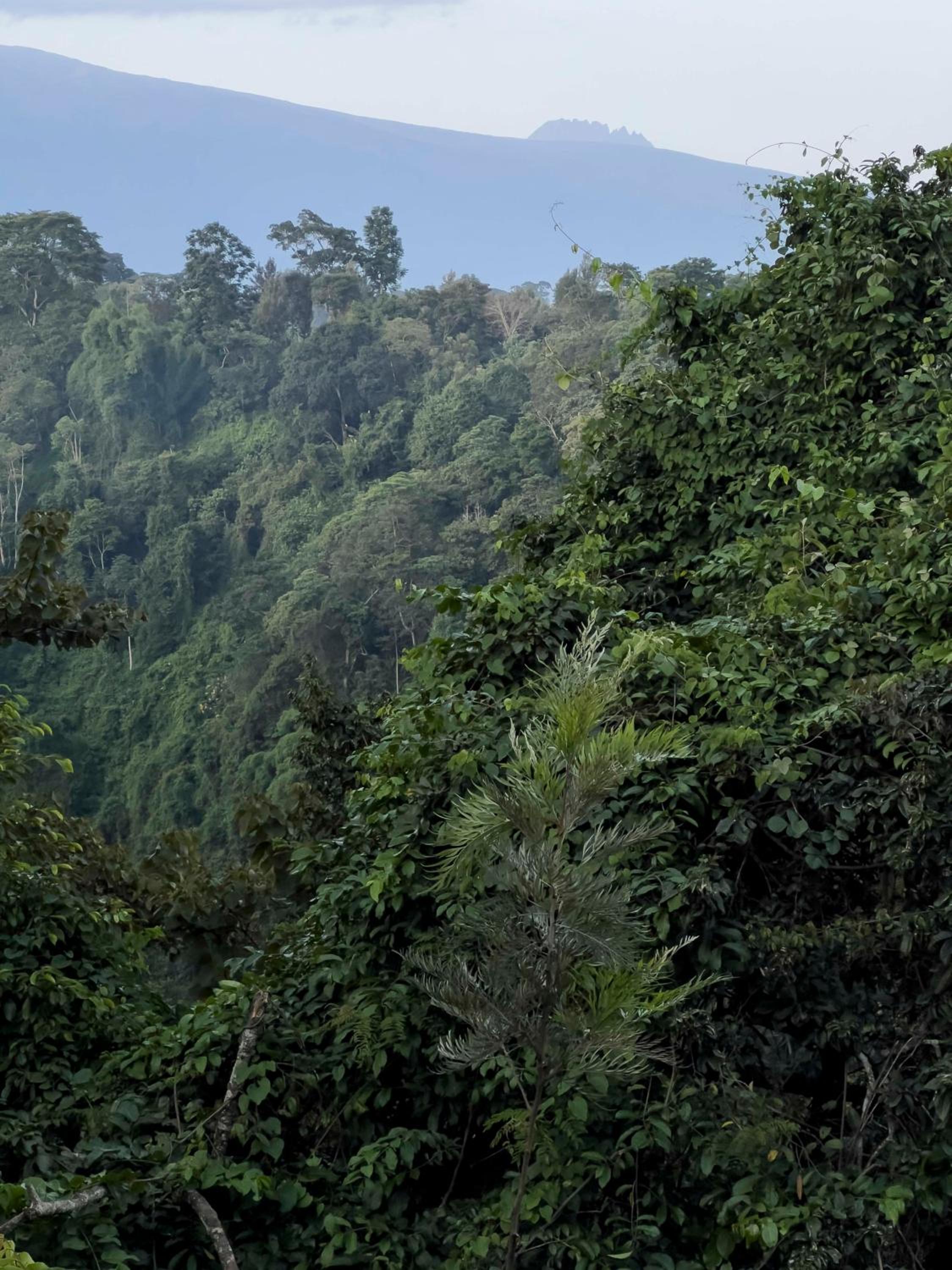 Kaliwa Lodge