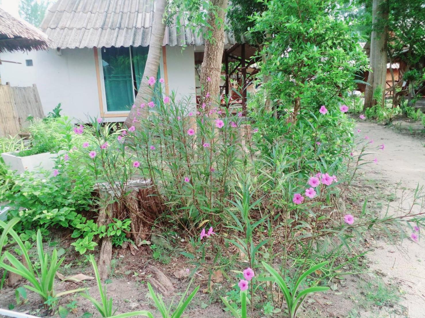 Photo 29