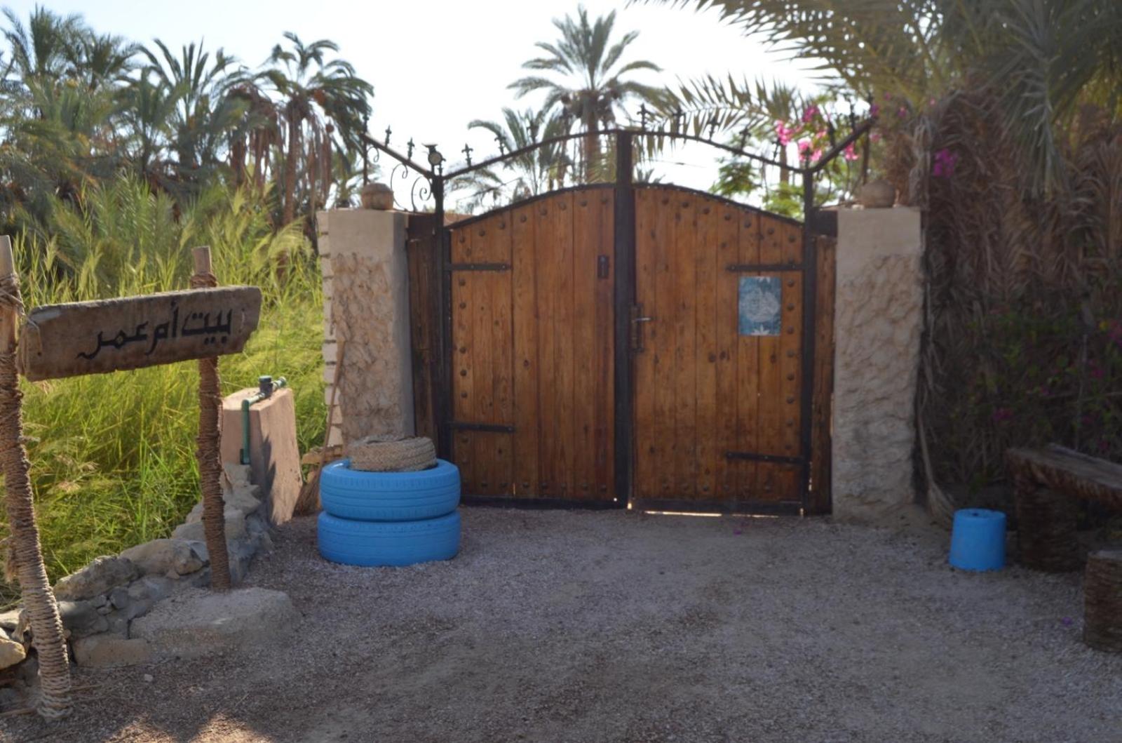 Siwa Spot - March is one of the best months in Siwa, with beautiful spring weather, pleasant sunny days, cooler peaceful nights, and a quiet oasis atmosphe