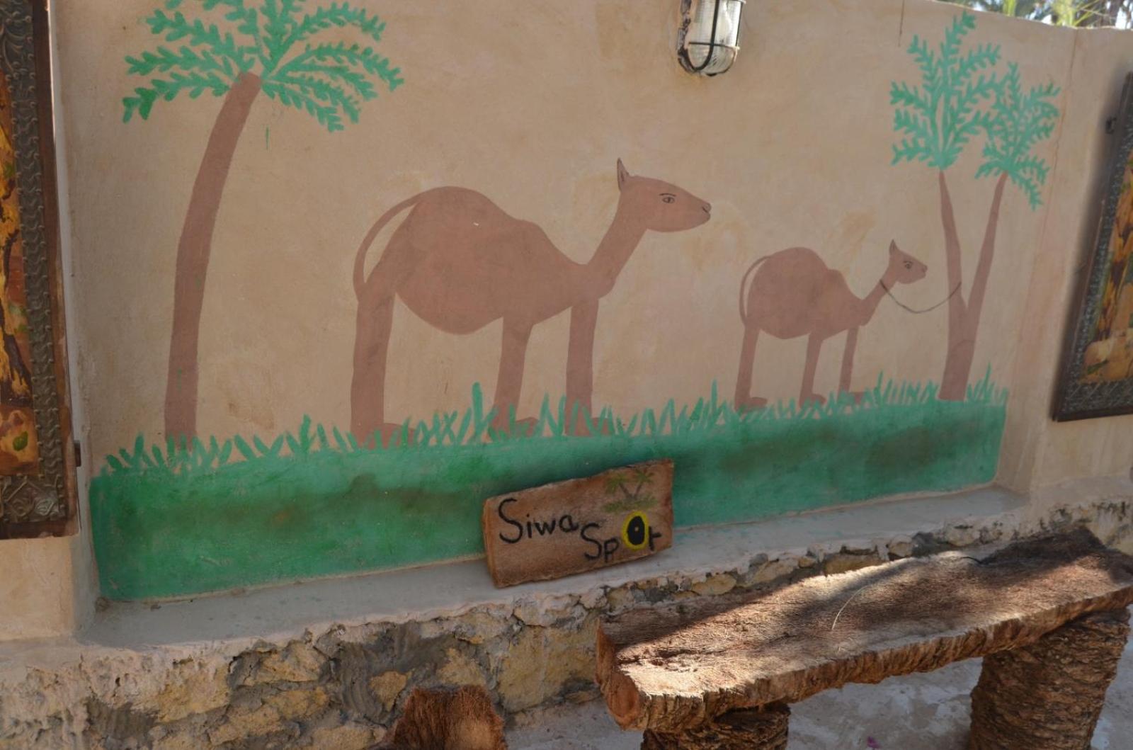 Siwa Spot - March is one of the best months in Siwa, with beautiful spring weather, pleasant sunny days, cooler peaceful nights, and a quiet oasis atmosphe