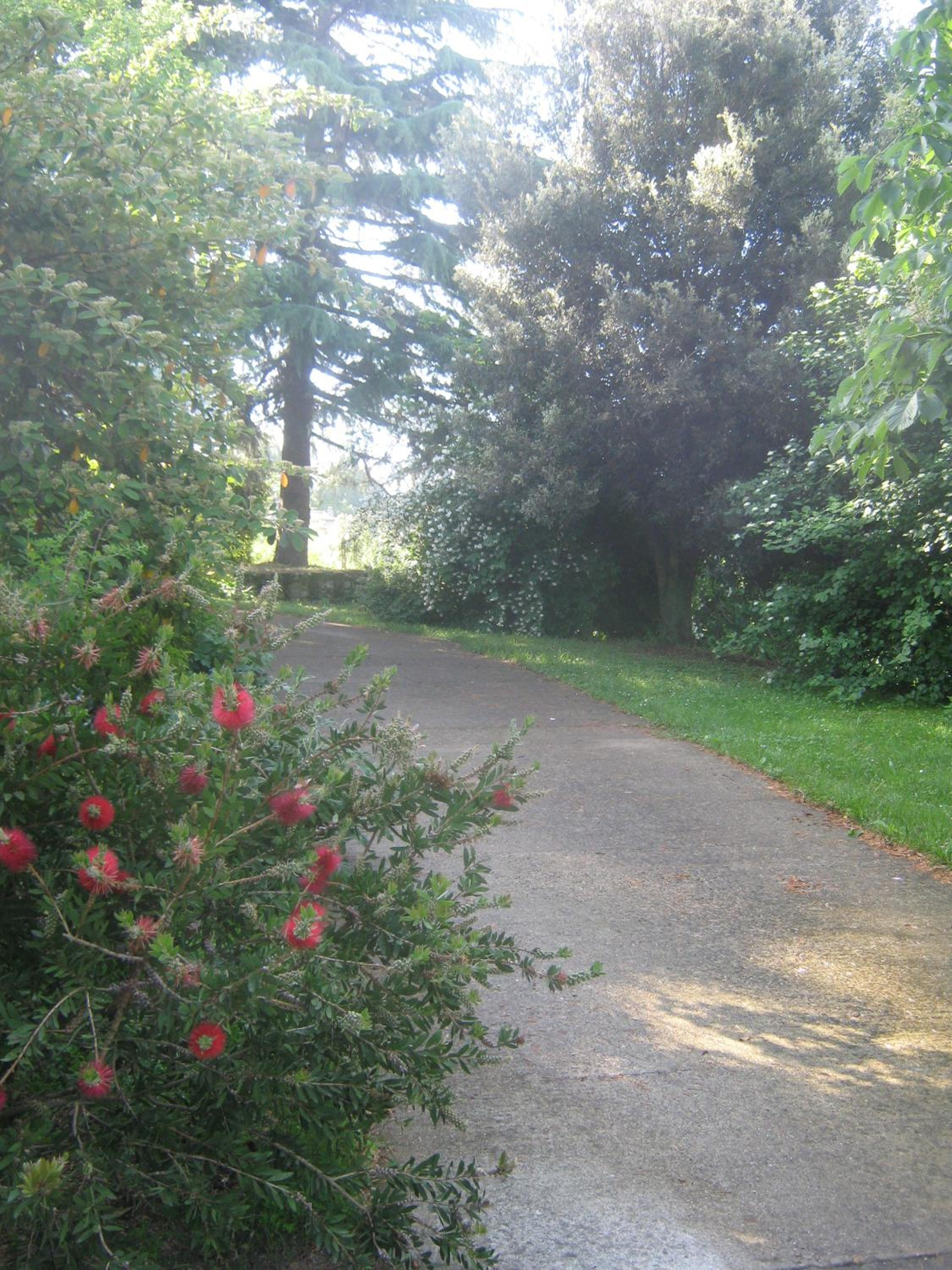 La Villa di Lucia view 4