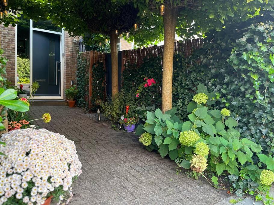 The West Wing Bloemendaal view 5